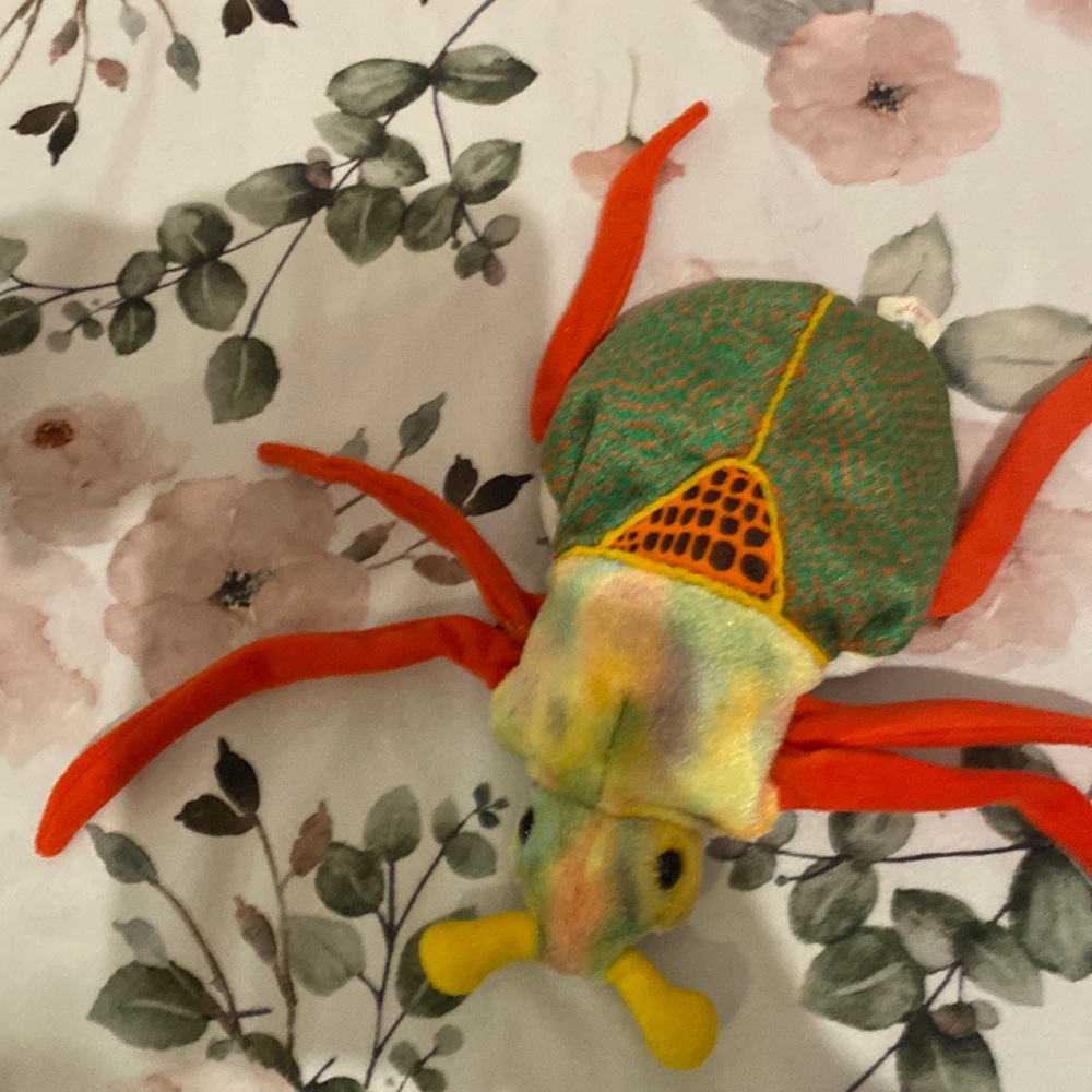 Beetle